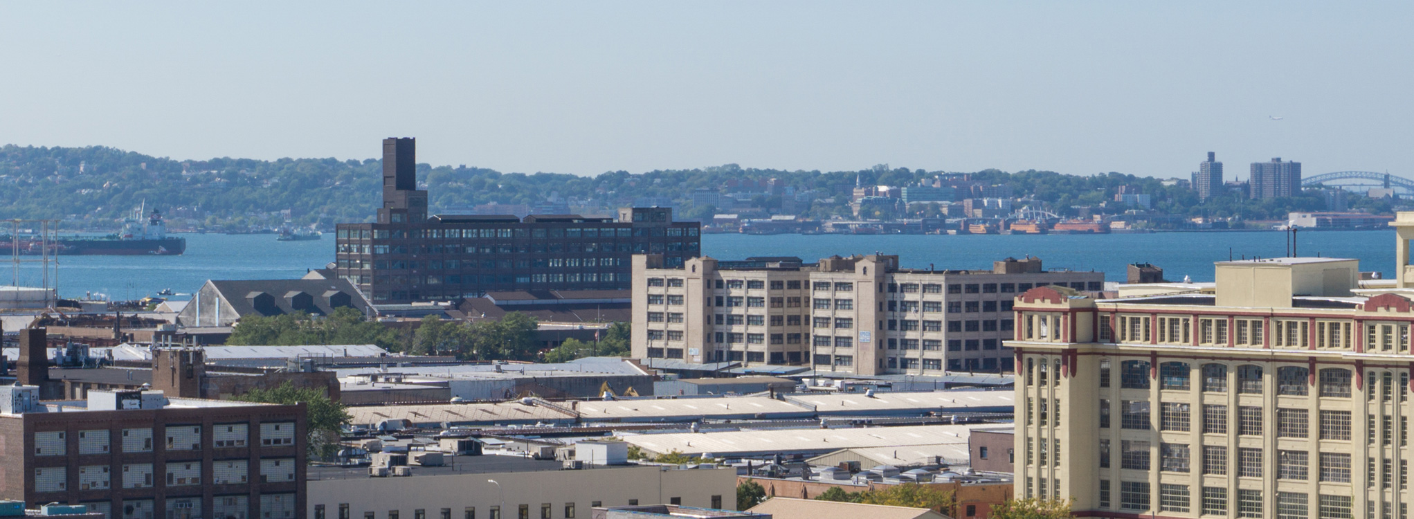 lamp posts and trees on a walking trail in sunset park