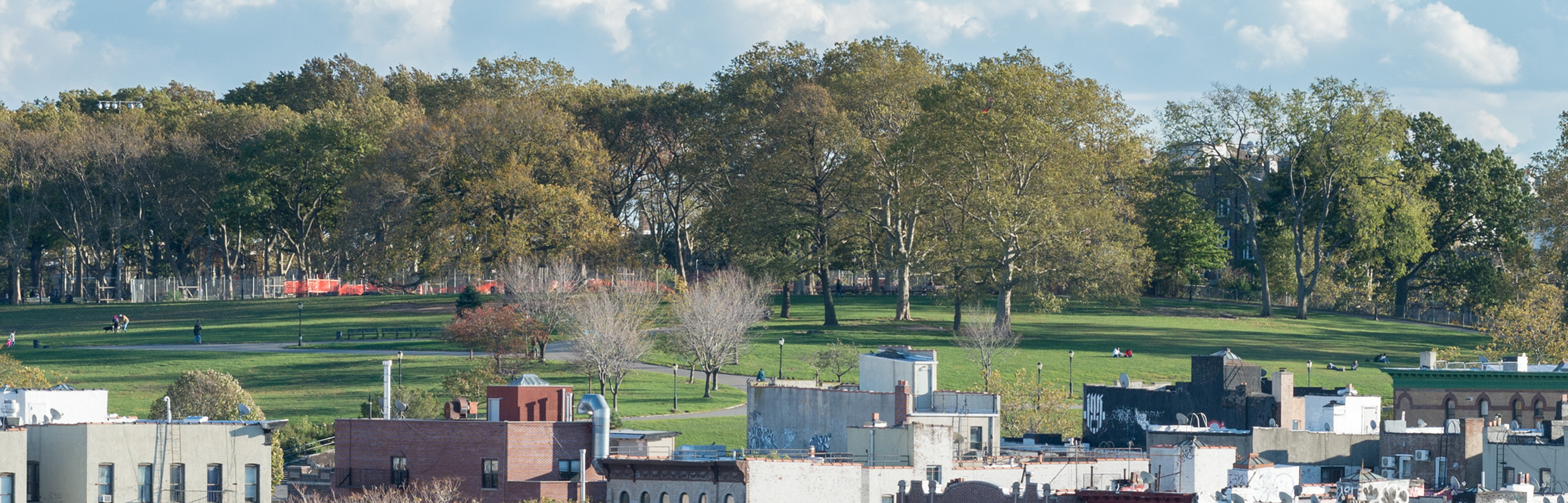 View East | Sunset Park